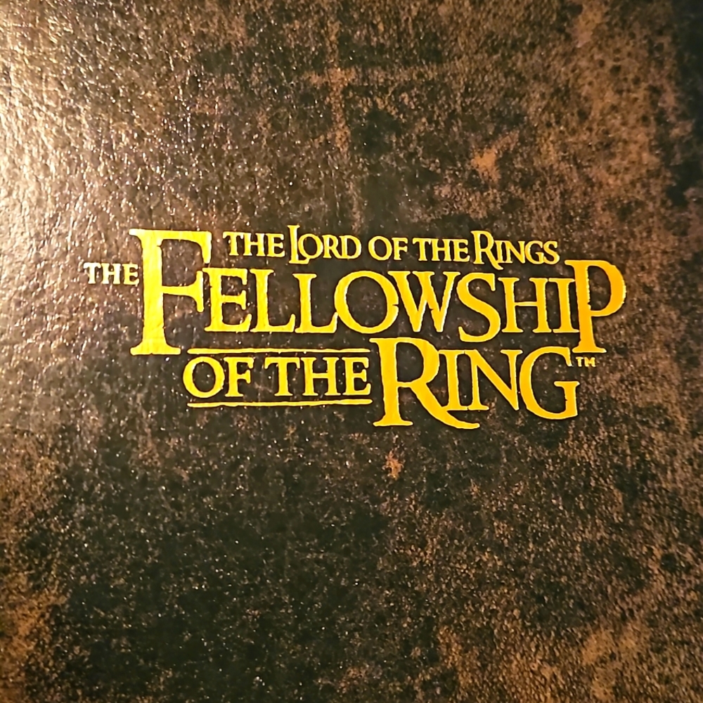 The Lord of the Rings The Fellowship of the Ring DVD EUC
